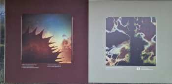 2LP Solar Fields: Formations LTD | CLR