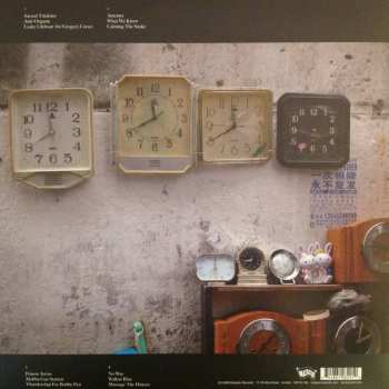 2LP Sonic Youth: The Eternal