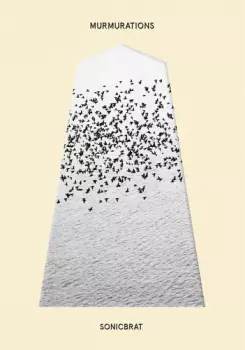 Murmurations