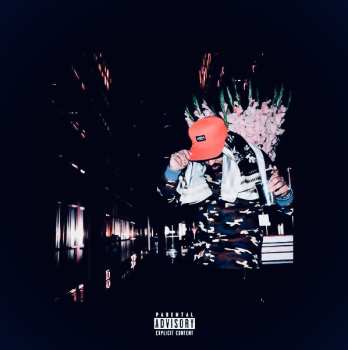 Album SonnyJim: No Vi$ible Means Of Income 2