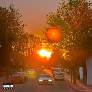 Album SonnyJim: No Vi$ible Means of Income 3