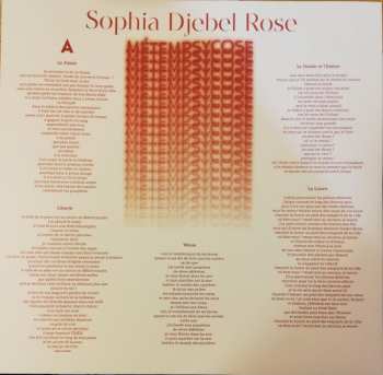 LP Sophia Djebel Rose: Métempsycose