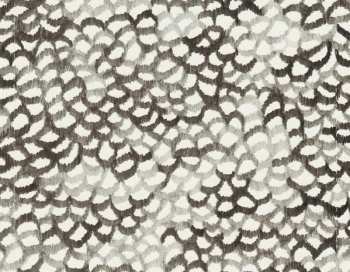 CD Sophie Hunger: 1983