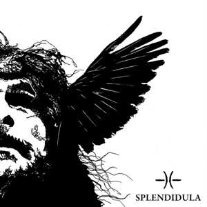 LP Splendidula: Somnus LTD | CLR