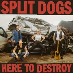 CD Split Dogs: Here To Destroy