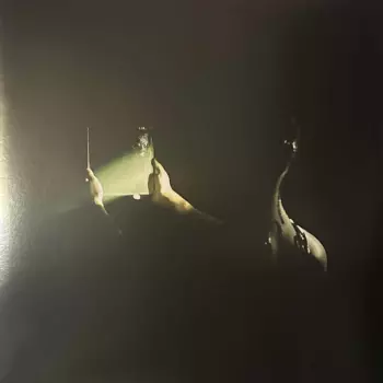 Reflection