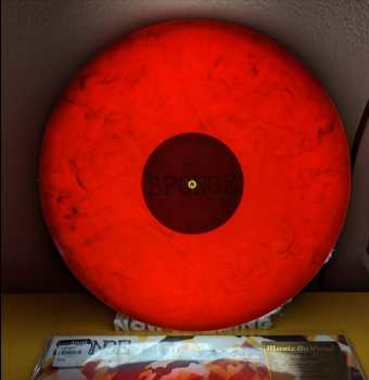 LP Sponge: Rotting Piñata CLR | LTD | NUM
