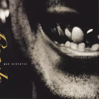 Sponge: Wax Ecstatic