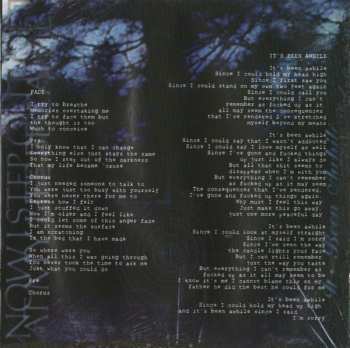 CD Staind: Break The Cycle