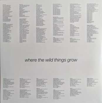 LP Starsailor: Where The Wild Things Grow