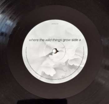 LP Starsailor: Where The Wild Things Grow