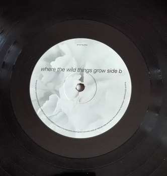 LP Starsailor: Where The Wild Things Grow