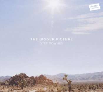 CD Stee Downes: The Bigger Picture