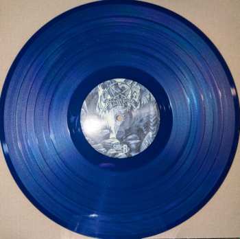 LP Steinras: Steinras CLR | LTD