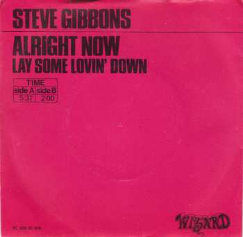 CD Steve Gibbons: Short Stories
