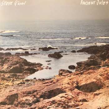 LP Steve Gunn: Ancient Jules LTD