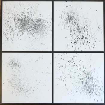 2LP Steve Gunn: Other You