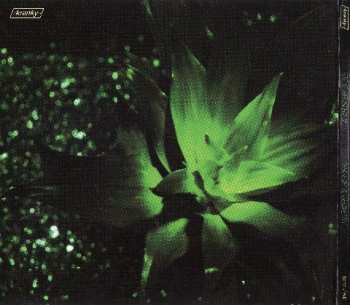 CD Steve Hauschildt: Tragedy & Geometry