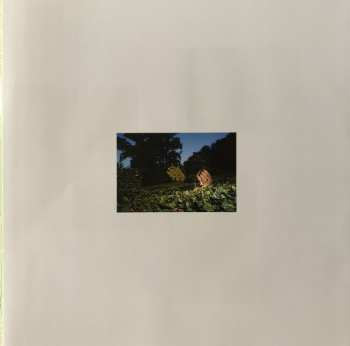 LP Steve Hiett: Girls In The Grass