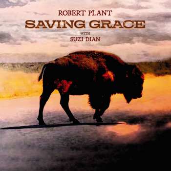 CD Steve Miller Band: Saving Grace