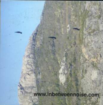 7CD/Set di cofanetti Steve Roden: A Thousand Breathing Forms (2003-2008)