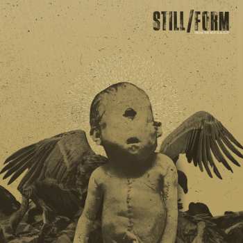 CD Still / Form: From The Rot Is A Gift