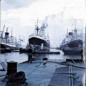 CD Sting: The Last Ship