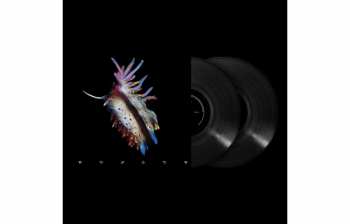 2LP Sub Focus: Evolve