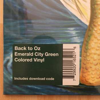 LP Sufjan Stevens: A Beginner's Mind LTD | CLR