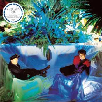 LP The Associates: Sulk CLR