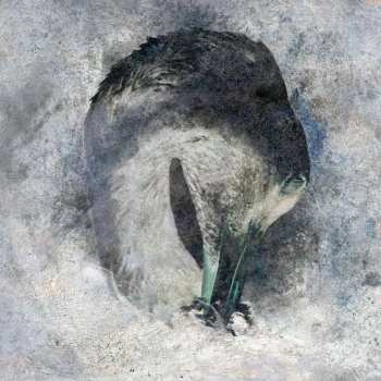 CD Suma: Ashes