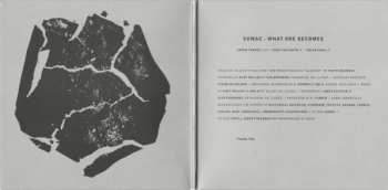 CD Sumac: What One Becomes