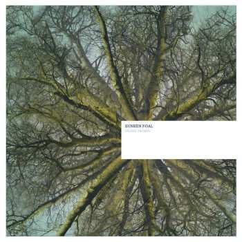 2LP Sunken Foal: Fallen Arches