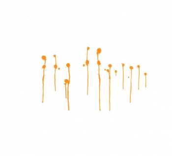 CD Melody Gardot: Sunset In The Blue DIGI