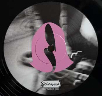 LP Sunshine Reverberation: What Is Real