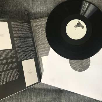 LP Susan Howe: STRAY: A Graphic Tone