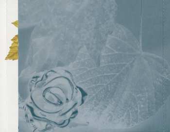 CD Susi Hyldgaard: Something Special Just For You