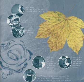 CD Susi Hyldgaard: Something Special Just For You