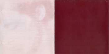 CD Suzanne Vega: Solitude Standing