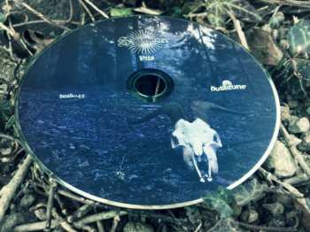 CD Svartelder: Pits DIGI