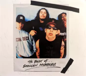 The Best Of... Swollen Members