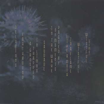 2LP Sylvaine: Wistful LTD