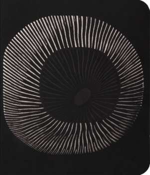 CD System Of A Down: Hypnotize