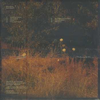 LP Szun Waves: Earth Patterns CLR | LTD