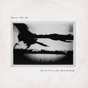 LP Takaakira Goto: Classical Punk And Echoes Under The Beauty