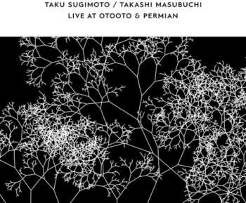 Album Taku Sugimoto: Live At OTOOTO & Permian