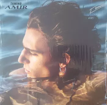 Tamino: Amir