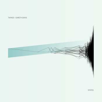 LP Gareth Davis: STATES LTD