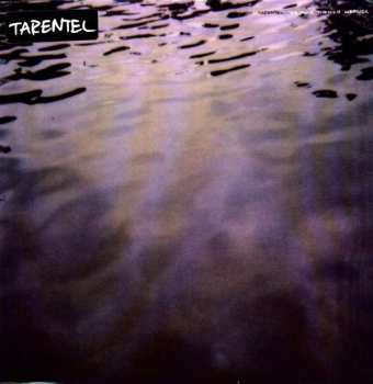 2LP Tarentel: We Move Through Weather