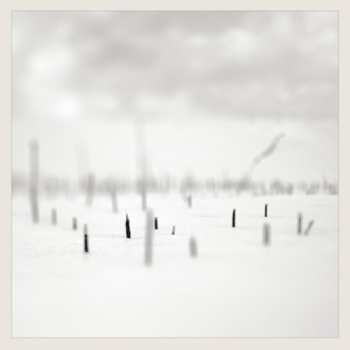 Album Taylor Deupree: In A Place Of Such Graceful Shapes